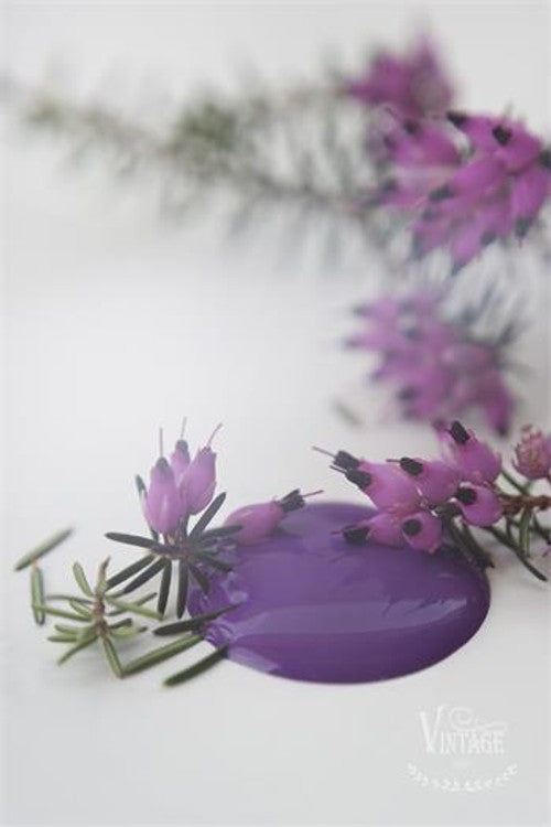 Vintage Paint - Dark Purple