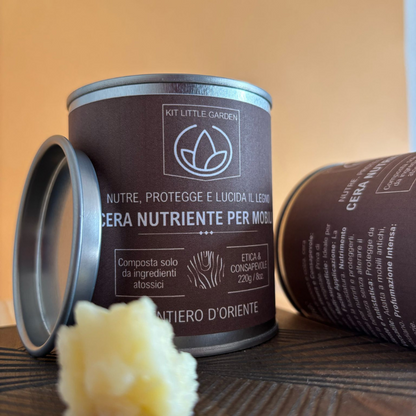 Oriental Trail Nourishing Wax for Furniture Little Garden Kit
