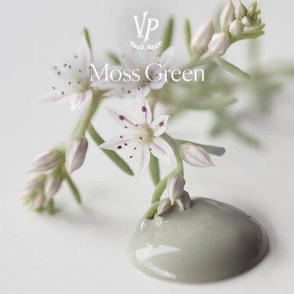 Vintage Paint - Moss Green