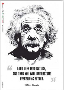 Paper Designs - Einstein