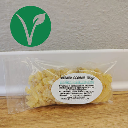 Kit per Vernice Copale