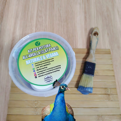 Kit pittura BLUE PEACOCK